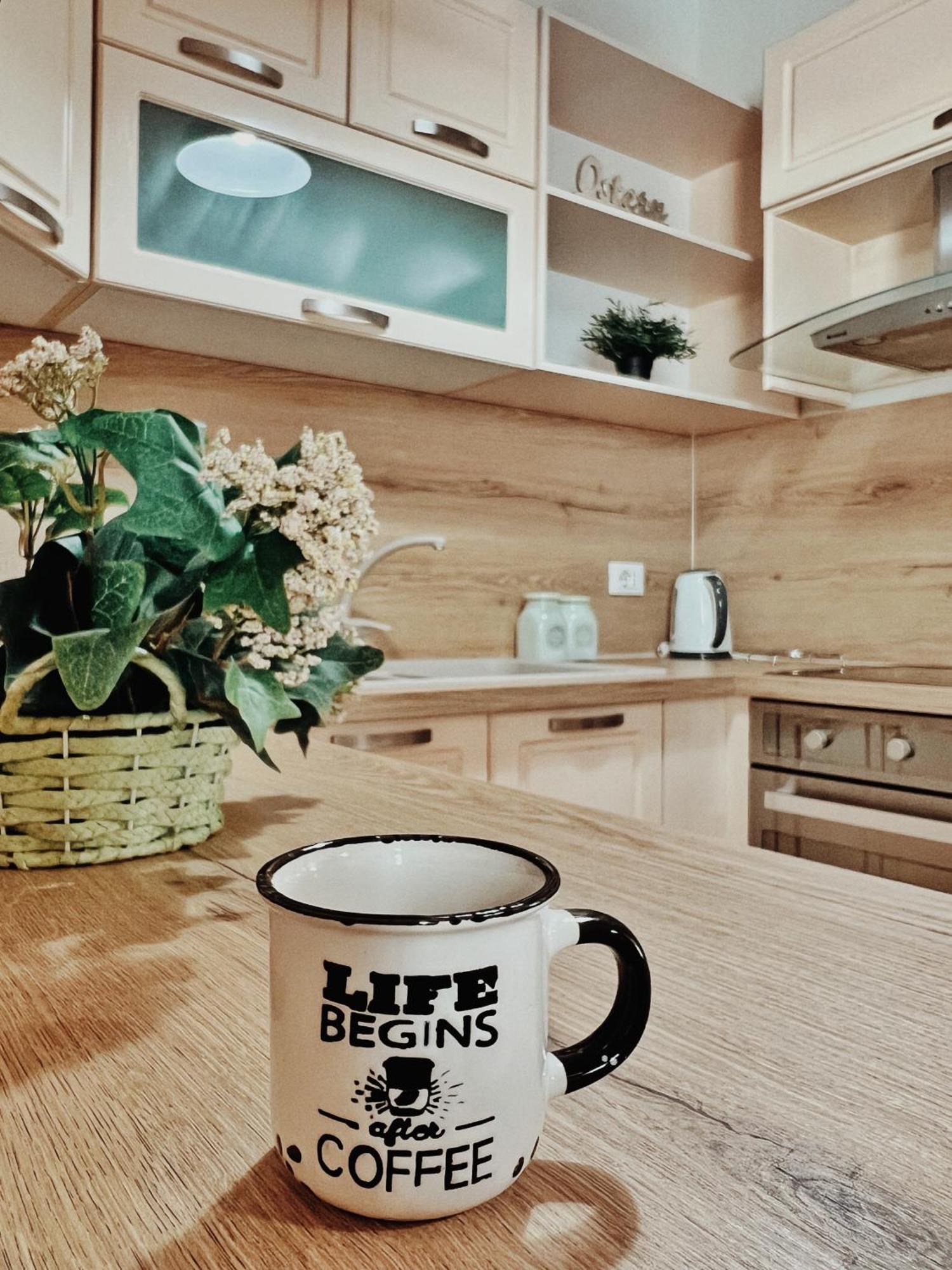 Cozy Rooftop Apartment - Your Home, Away From Home! ติรานา ภายนอก รูปภาพ